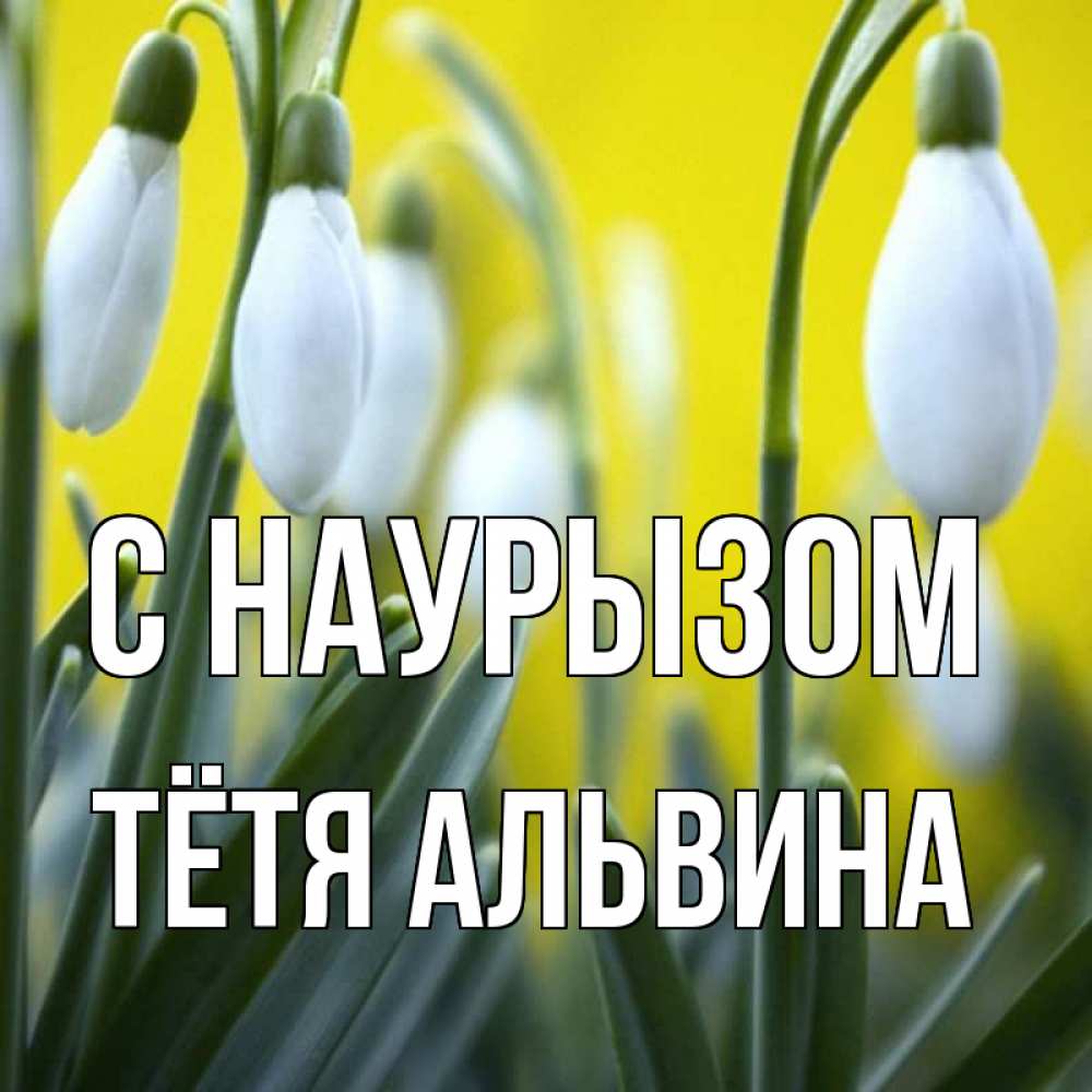 Открытка на каждый день с именем, Тётя-Альвина С наурызом весенние цветы Прикольная открытка с пожеланием онлайн скачать бесплатно 