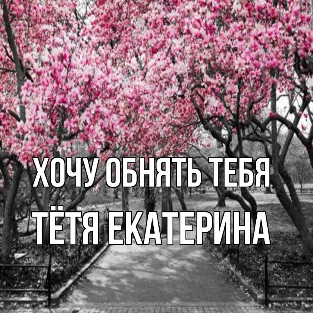 Открытка на каждый день с именем, Тётя-Екатерина Хочу обнять тебя обработанное фото Прикольная открытка с пожеланием онлайн скачать бесплатно 