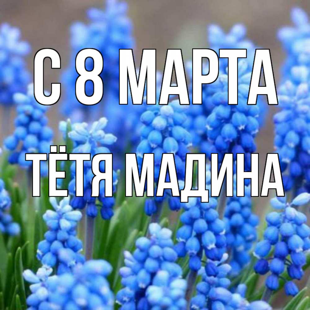 Открытка на каждый день с именем, Тётя-Мадина С 8 марта Поздравительная открытка для женщин с цветами на праздничную дату Прикольная открытка с пожеланием онлайн скачать бесплатно 