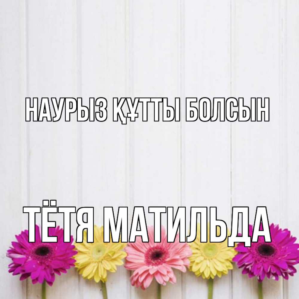 Открытка на каждый день с именем, Тётя-Матильда Наурыз құтты болсын женщинам 1 Прикольная открытка с пожеланием онлайн скачать бесплатно 