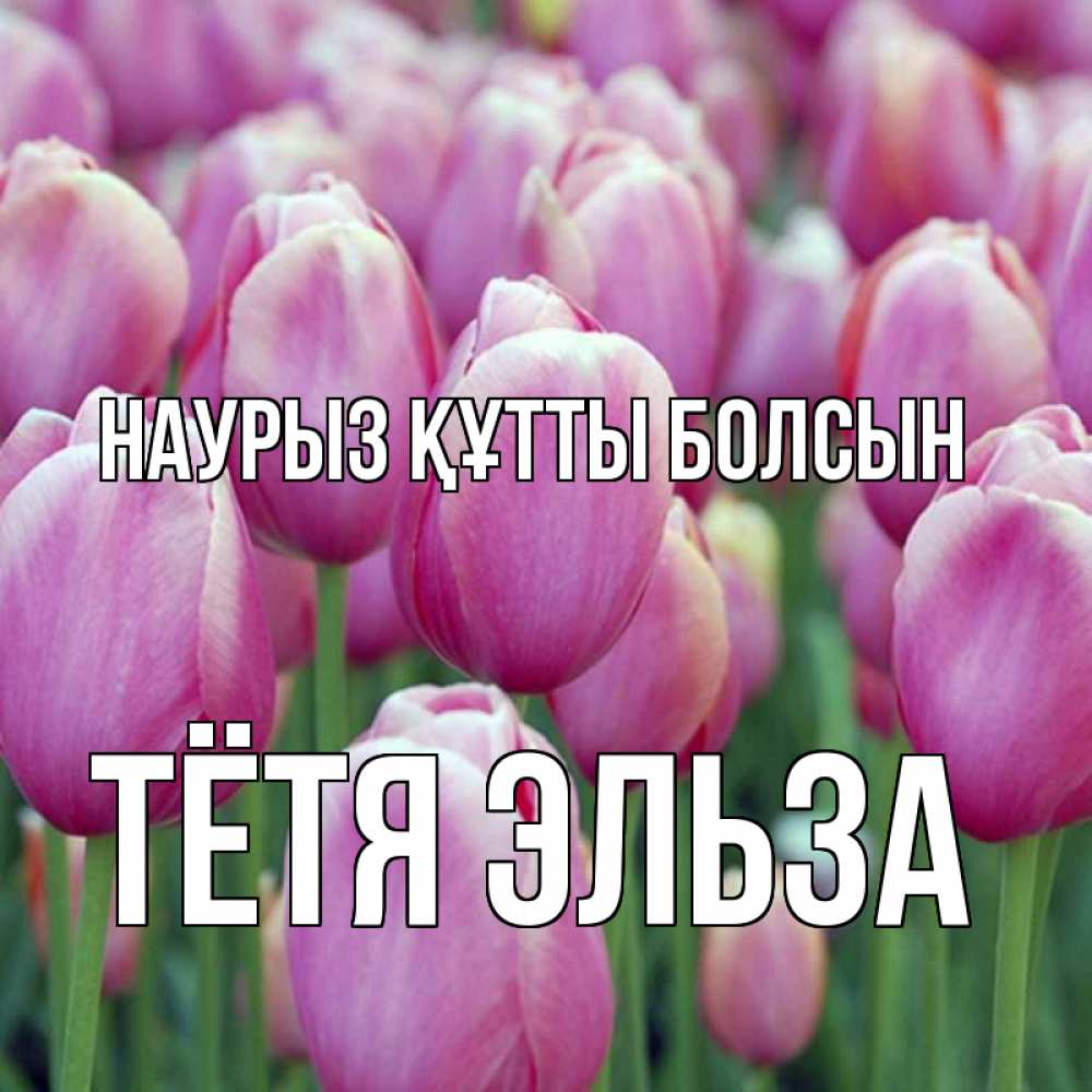 Открытка на каждый день с именем, Тётя-Эльза Наурыз құтты болсын на наурыз  день 3 Прикольная открытка с пожеланием онлайн скачать бесплатно 