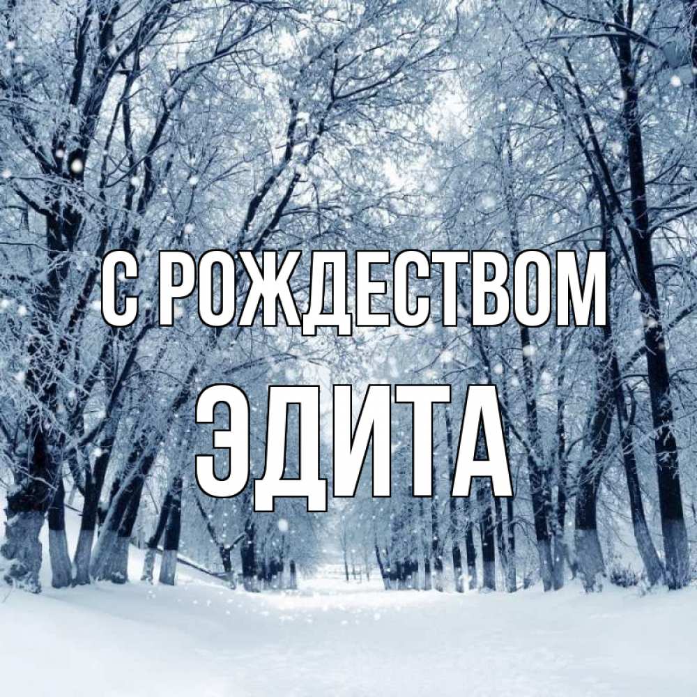 Открытка на каждый день с именем, Эдита С рождеством снег, лес, парк Прикольная открытка с пожеланием онлайн скачать бесплатно 