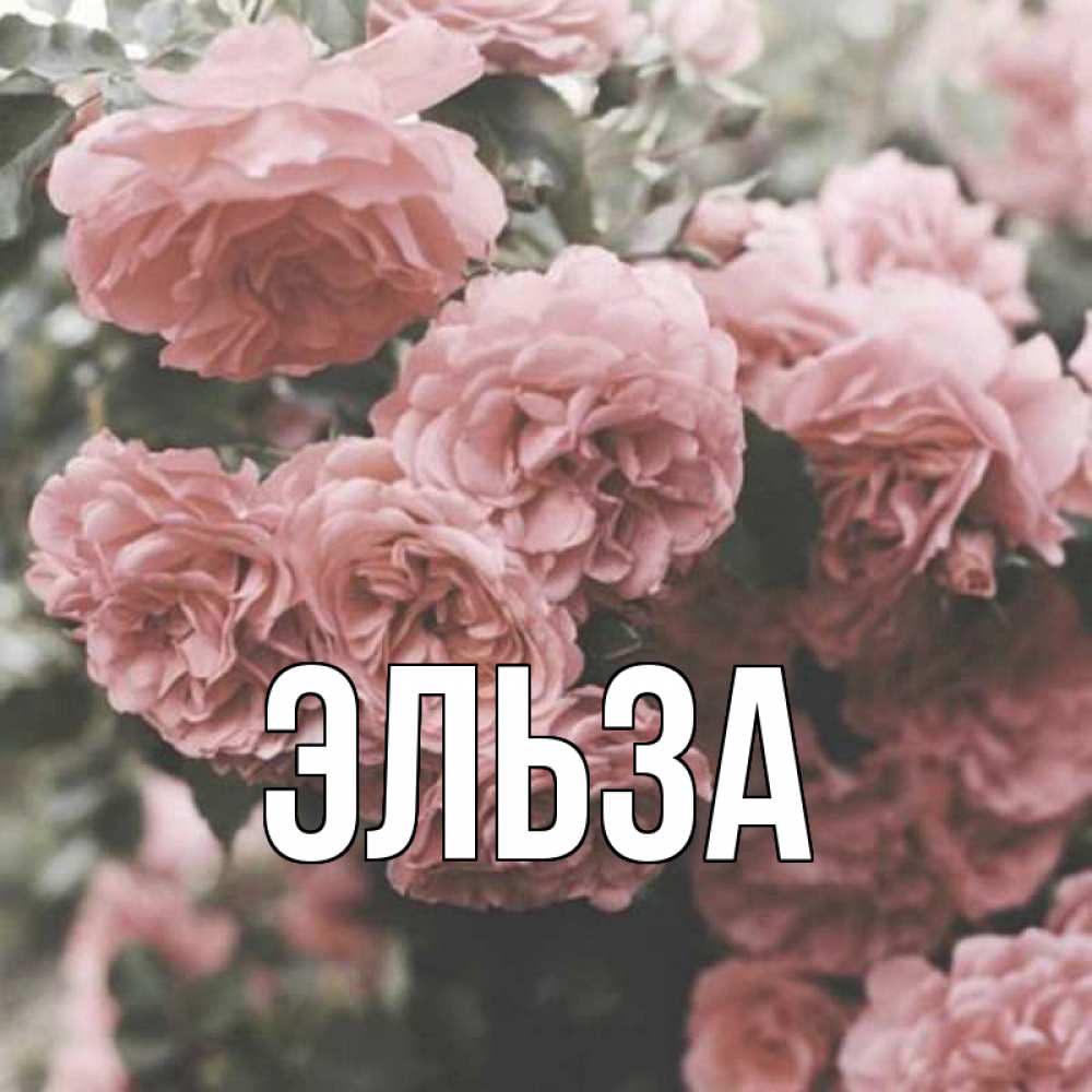 Открытка на каждый день с именем, Эльза Главная розы 3 Прикольная открытка с пожеланием онлайн скачать бесплатно 