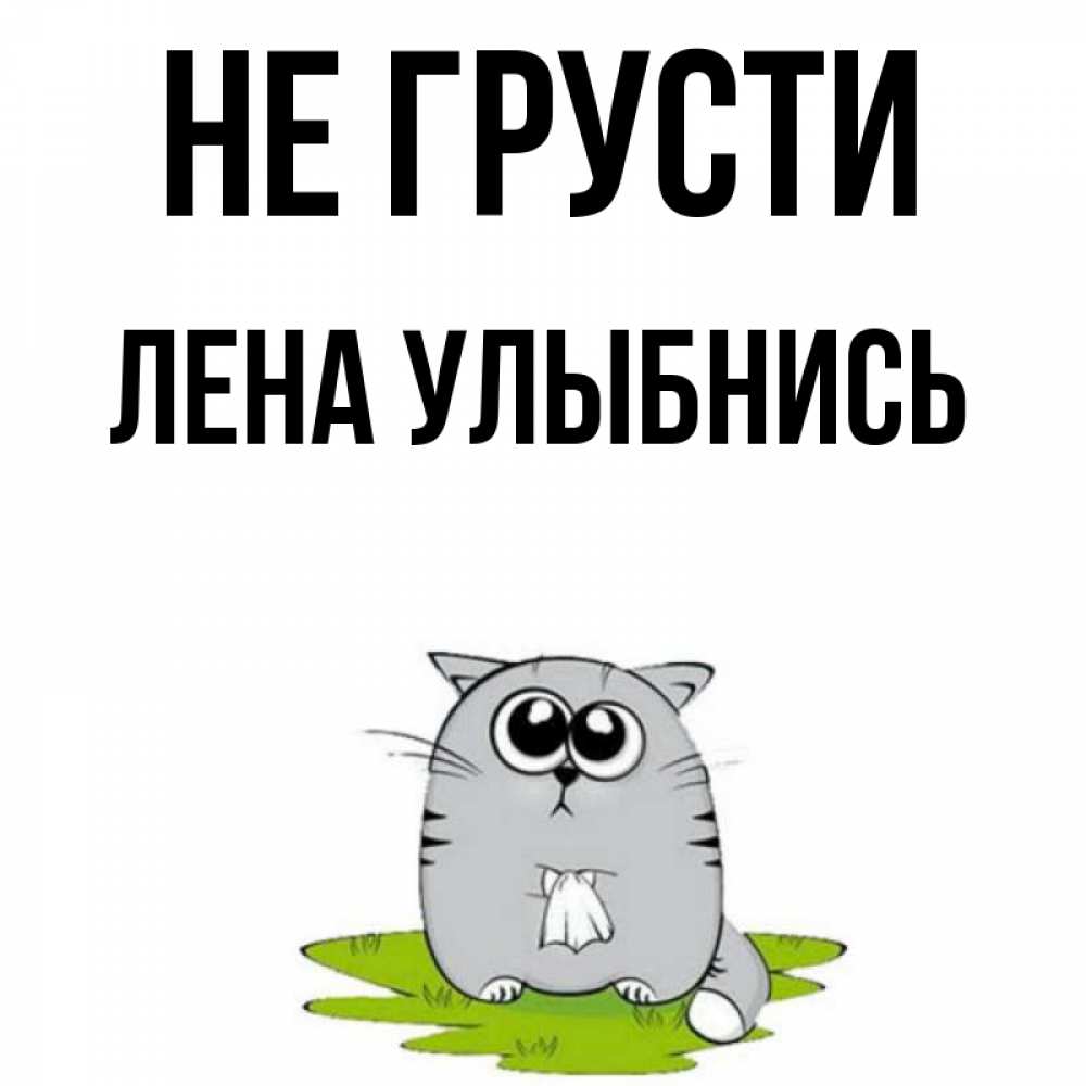 Не грусти картинки прикольные