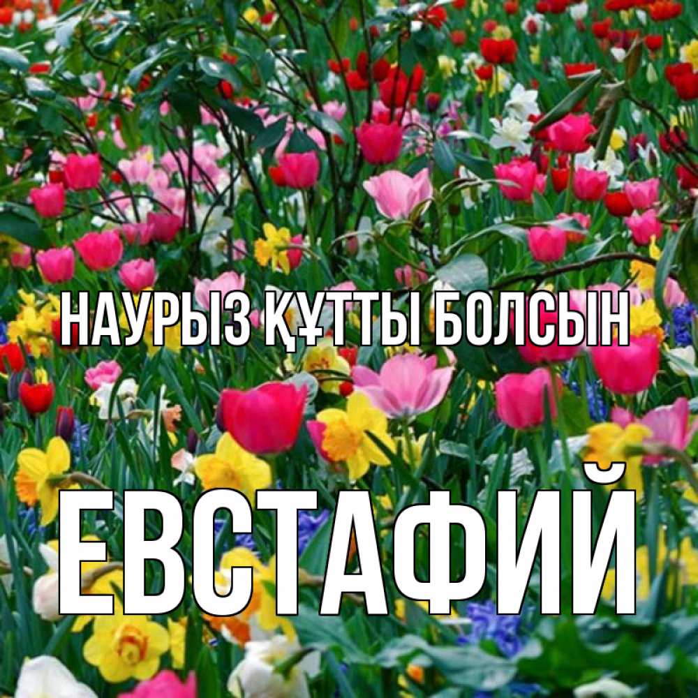 Открытка на каждый день с именем, Евстафий Наурыз құтты болсын с наурызом поздравления для женщины Прикольная открытка с пожеланием онлайн скачать бесплатно 