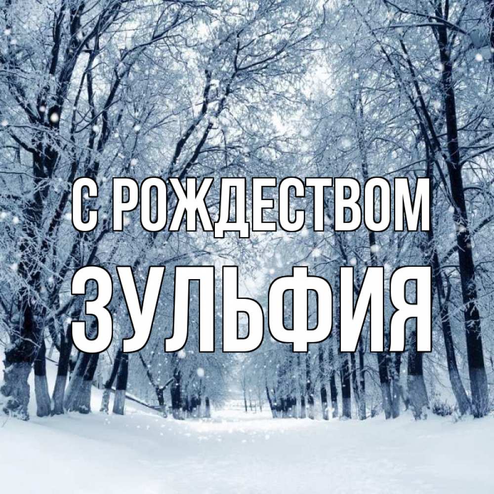 Открытка на каждый день с именем, Зульфия С рождеством снег, лес, парк Прикольная открытка с пожеланием онлайн скачать бесплатно 
