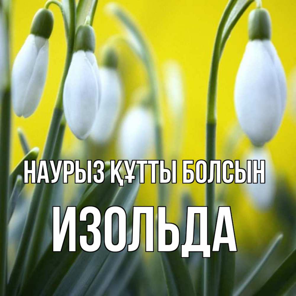 Открытка на каждый день с именем, Изольда Наурыз құтты болсын весенние цветы Прикольная открытка с пожеланием онлайн скачать бесплатно 