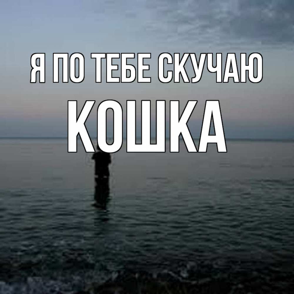 Открытка на каждый день с именем, Кошка Я по тебе скучаю скука Прикольная открытка с пожеланием онлайн скачать бесплатно 