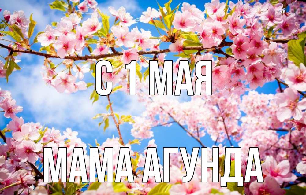 Открытка на каждый день с именем, Мама-Агунда С 1 мая С 1 мая Прикольная открытка с пожеланием онлайн скачать бесплатно 