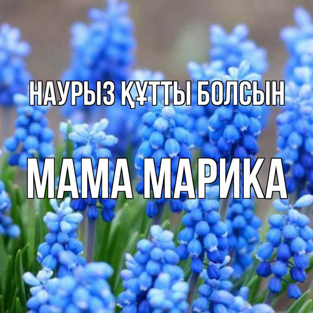 Открытка на каждый день с именем, Мама-Марика Наурыз құтты болсын Поздравительная открытка для женщин с цветами на праздничную дату Прикольная открытка с пожеланием онлайн скачать бесплатно 