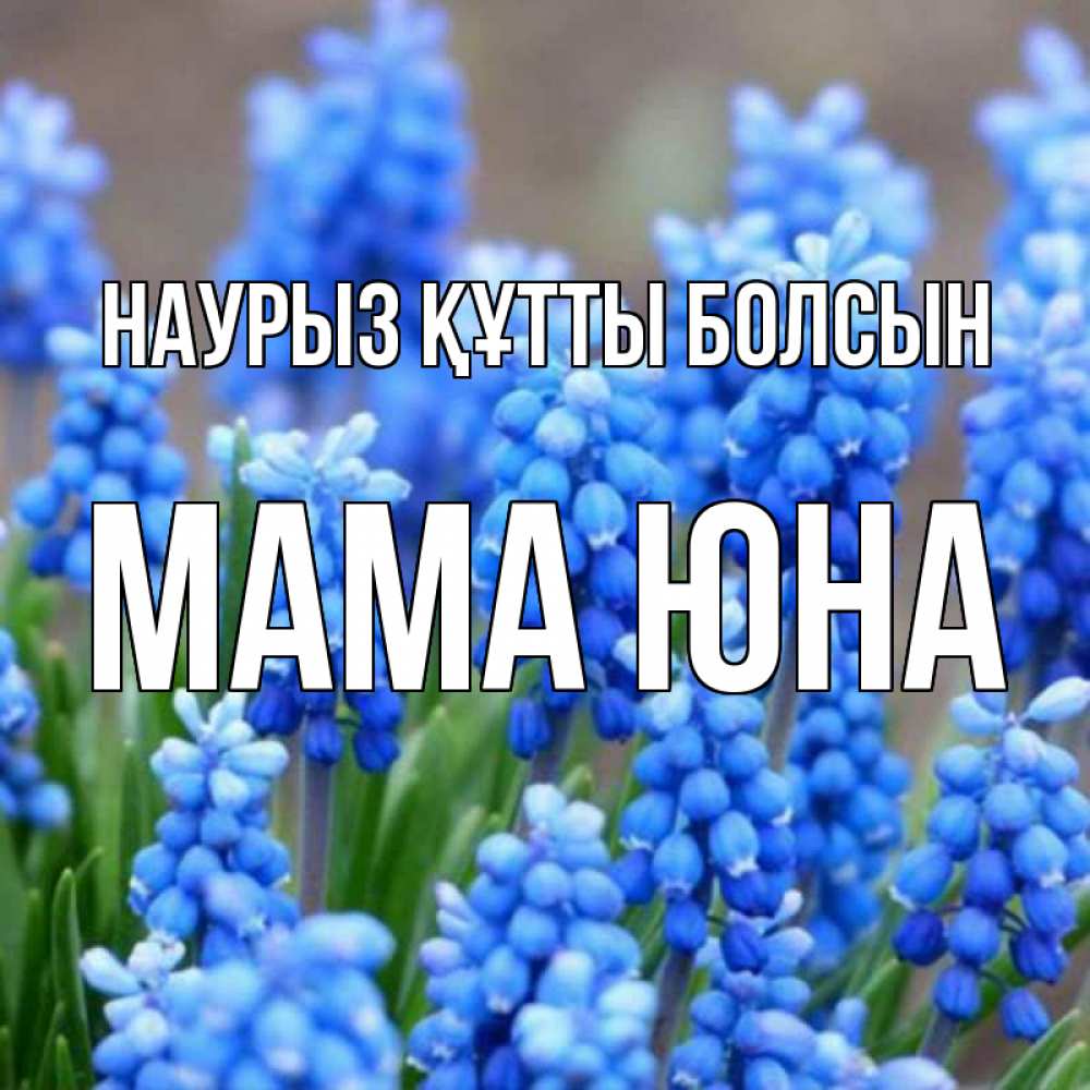 Открытка на каждый день с именем, Мама-Юна Наурыз құтты болсын Поздравительная открытка для женщин с цветами на праздничную дату Прикольная открытка с пожеланием онлайн скачать бесплатно 