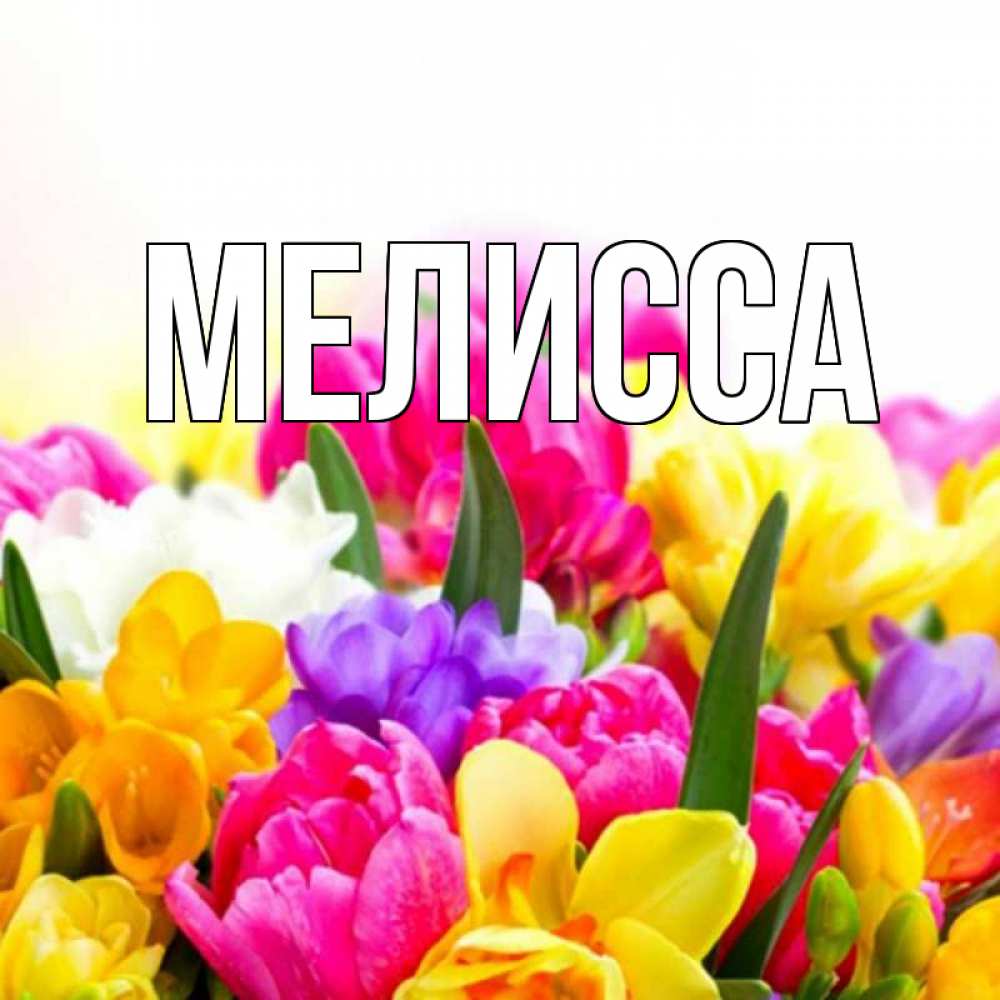 Картинка  с именем , Мелисса