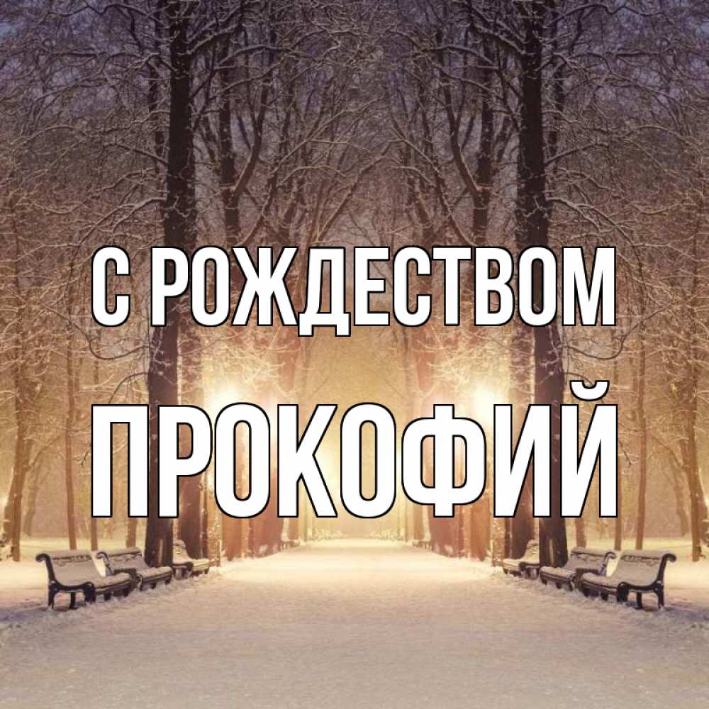 Открытка на каждый день с именем, Прокофий С рождеством зима, парк, фонарь, лес Прикольная открытка с пожеланием онлайн скачать бесплатно 