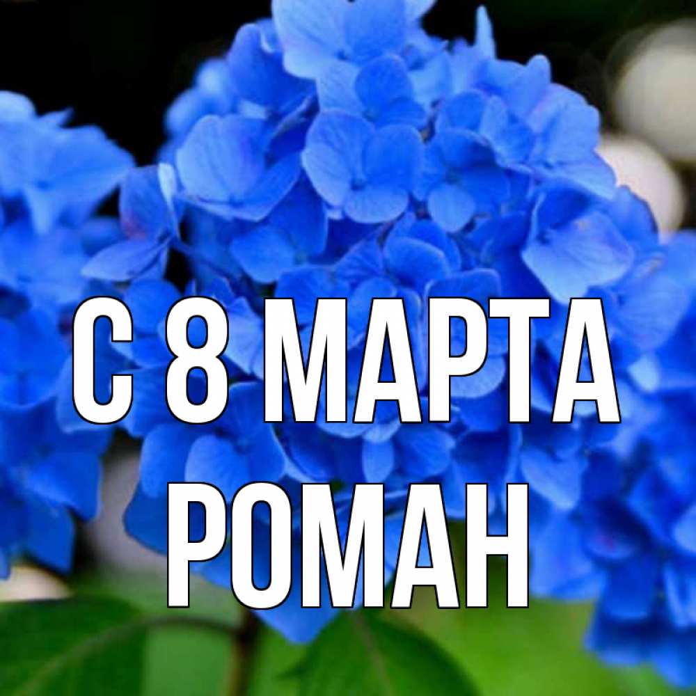 Открытка на каждый день с именем, Роман С 8 МАРТА синие цветы Прикольная открытка с пожеланием онлайн скачать бесплатно 