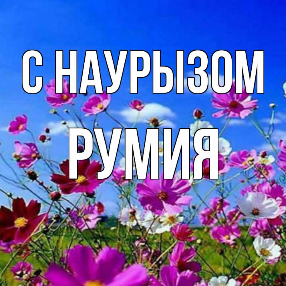 Открытка на каждый день с именем, Румия С наурызом цветы Прикольная открытка с пожеланием онлайн скачать бесплатно 