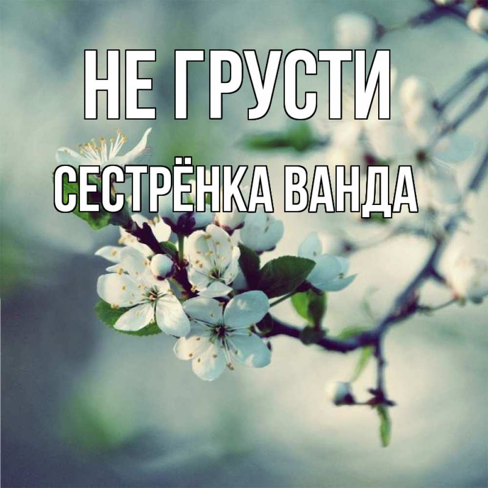 Открытка на каждый день с именем, Сестрёнка-Ванда Не грусти яблоня в цвету 1 Прикольная открытка с пожеланием онлайн скачать бесплатно 