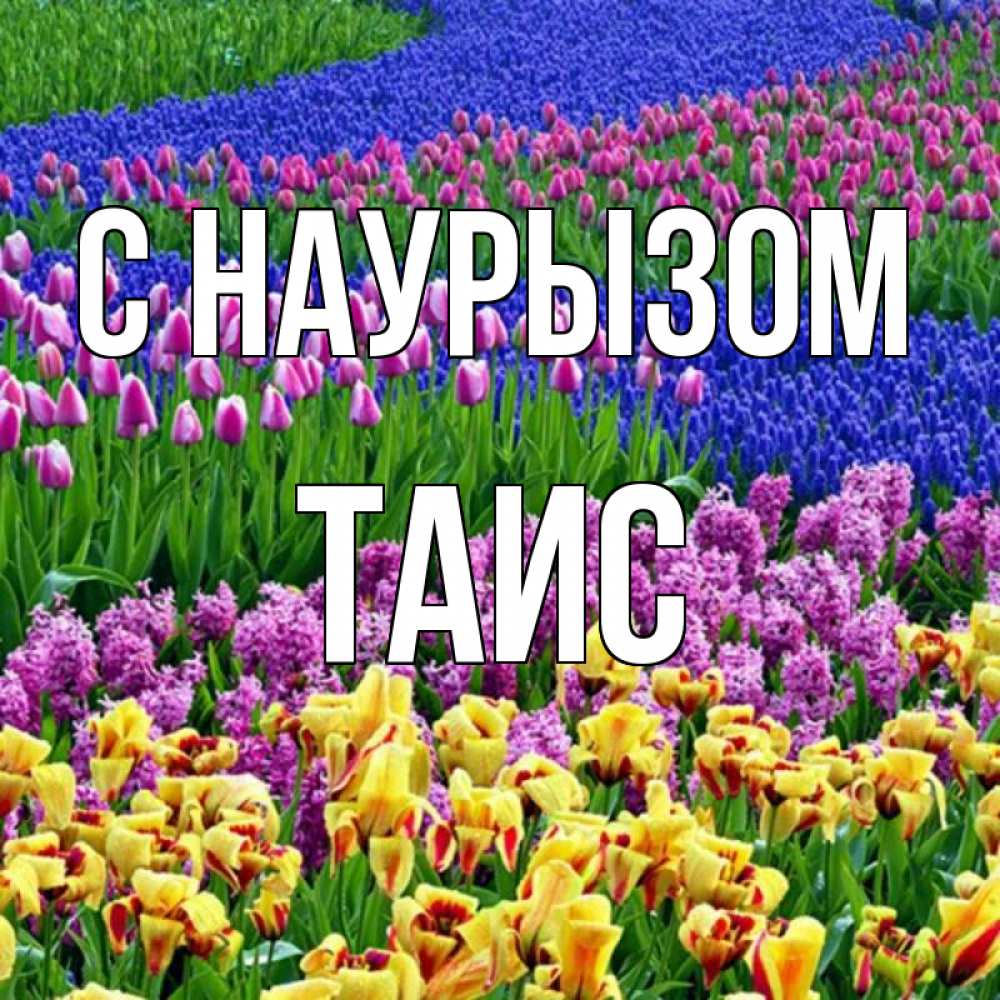 Открытка на каждый день с именем, Таис С наурызом цветы Прикольная открытка с пожеланием онлайн скачать бесплатно 