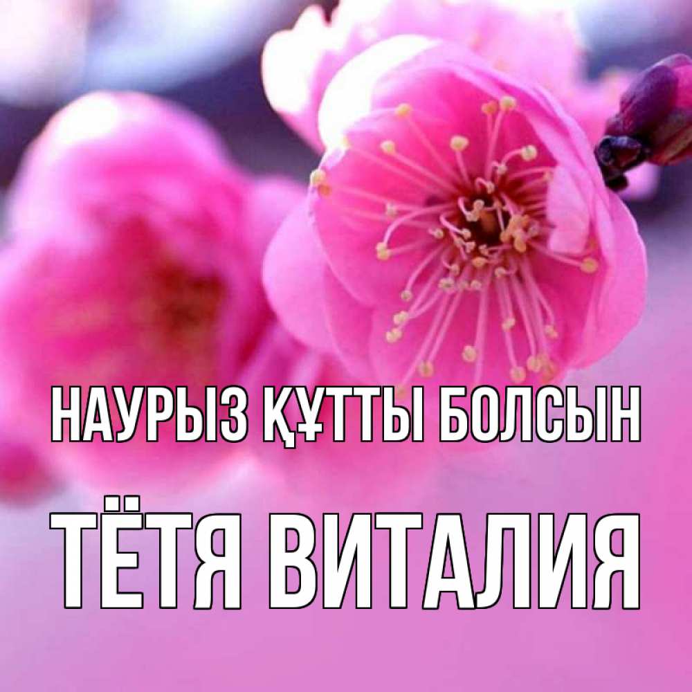 Открытка на каждый день с именем, Тётя-Виталия Наурыз құтты болсын наурыз мейрам Прикольная открытка с пожеланием онлайн скачать бесплатно 