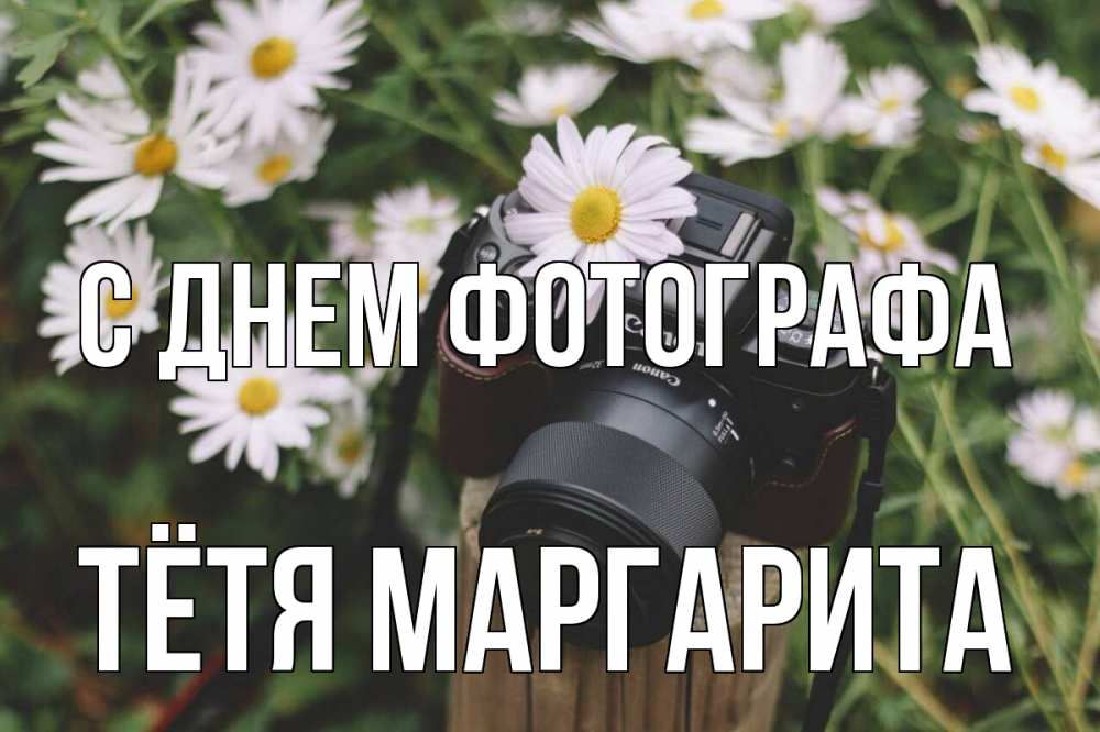 Открытка на каждый день с именем, Тётя-Маргарита С днем фотографа с днем фотографа Прикольная открытка с пожеланием онлайн скачать бесплатно 