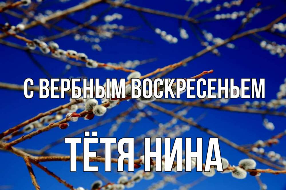 Открытка на каждый день с именем, Тётя-Нина С вербным воскресеньем верба Прикольная открытка с пожеланием онлайн скачать бесплатно 