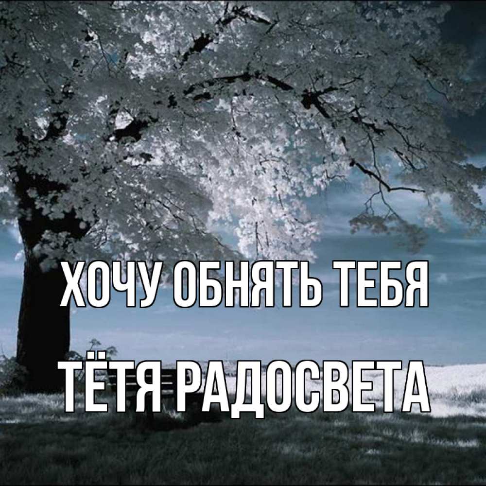 Открытка на каждый день с именем, Тётя-Радосвета Хочу обнять тебя дерево Прикольная открытка с пожеланием онлайн скачать бесплатно 