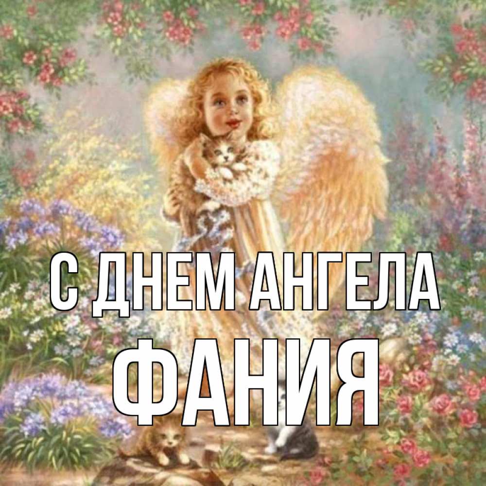Открытка на каждый день с именем, Фания С днем ангела держит котенка Прикольная открытка с пожеланием онлайн скачать бесплатно 