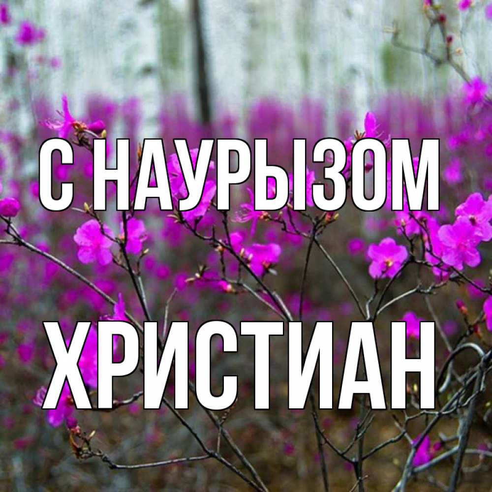 Открытка на каждый день с именем, Христиан С наурызом дикие цветы Прикольная открытка с пожеланием онлайн скачать бесплатно 