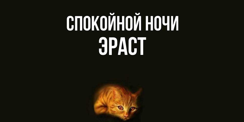 Открытка на каждый день с именем, Эраст Спокойной ночи кот Прикольная открытка с пожеланием онлайн скачать бесплатно 