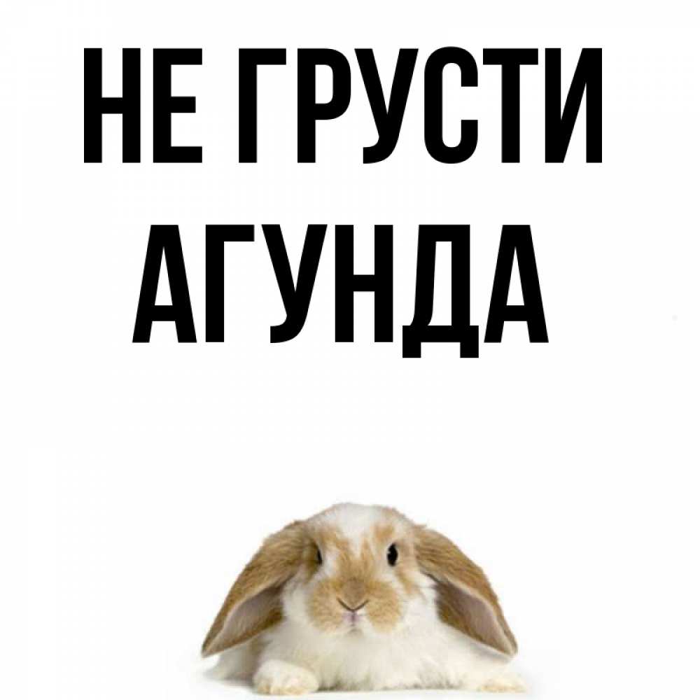Картинки с надписью не грусти заяц