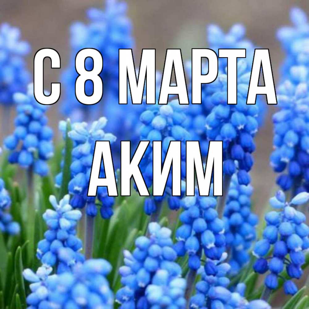 Открытка на каждый день с именем, Аким С 8 МАРТА Поздравительная открытка для женщин с цветами на праздничную дату Прикольная открытка с пожеланием онлайн скачать бесплатно 