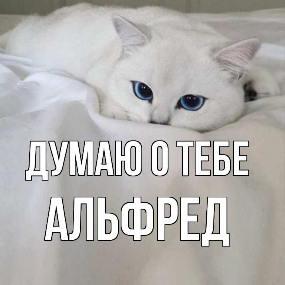 Открытка на каждый день с именем, Альфред Думаю о тебе я очень по тебе скучаю и тоскую Прикольная открытка с пожеланием онлайн скачать бесплатно 