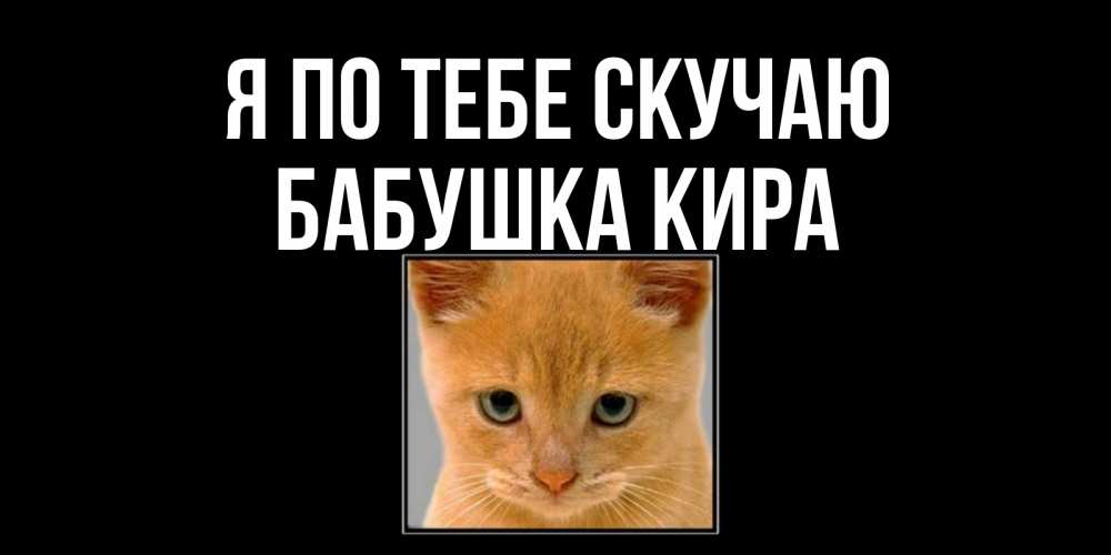 Открытка на каждый день с именем, Бабушка-Кира Я по тебе скучаю открытки рыжий котенок скучает по тебе Прикольная открытка с пожеланием онлайн скачать бесплатно 