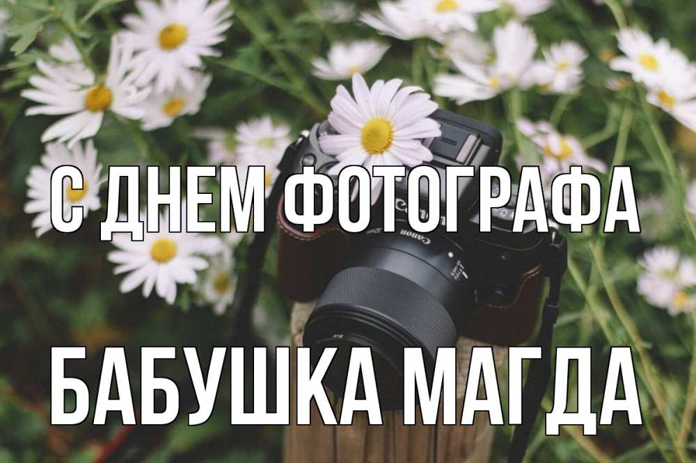 Открытка на каждый день с именем, Бабушка-Магда С днем фотографа с днем фотографа Прикольная открытка с пожеланием онлайн скачать бесплатно 