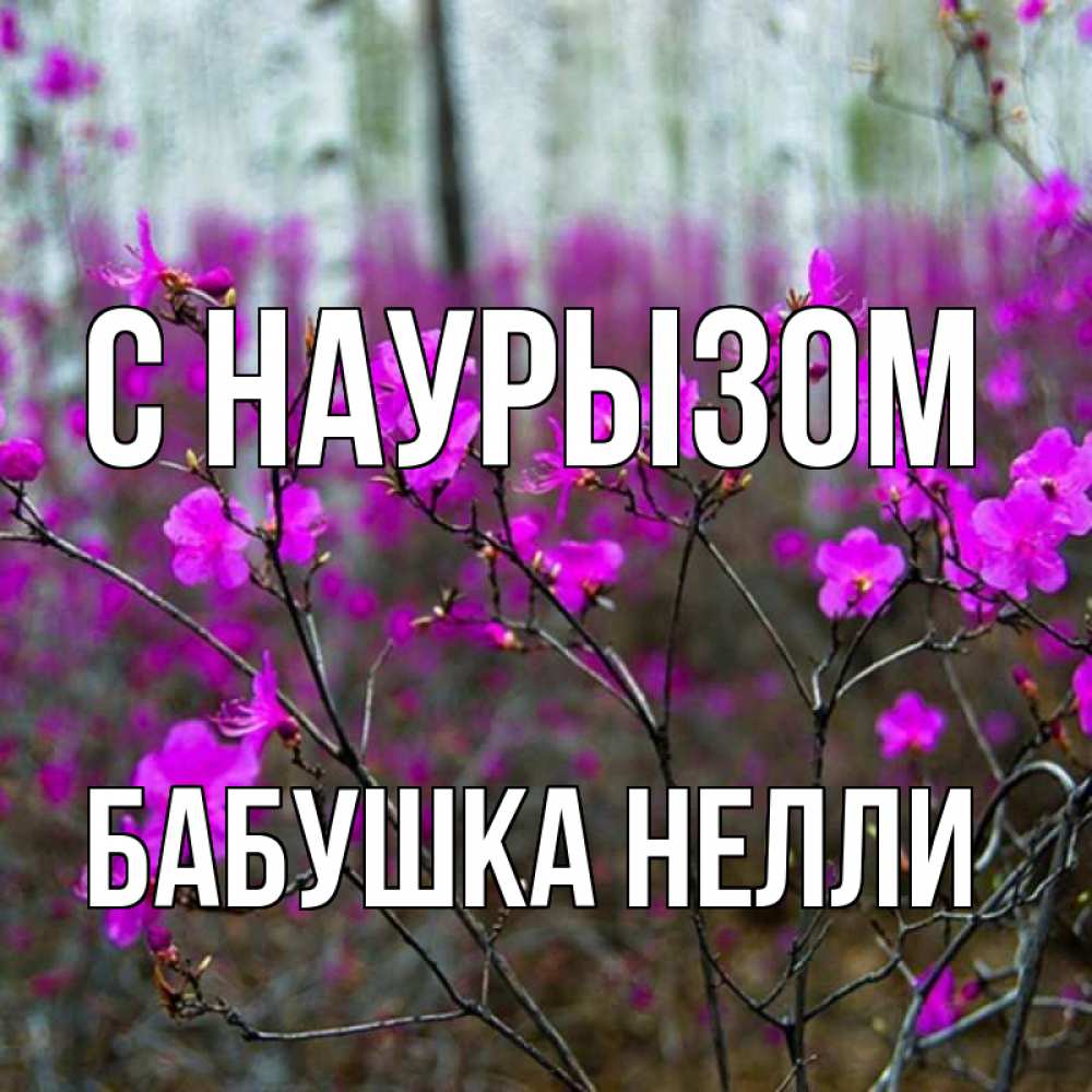 Открытка на каждый день с именем, Бабушка-Нелли С наурызом дикие цветы Прикольная открытка с пожеланием онлайн скачать бесплатно 