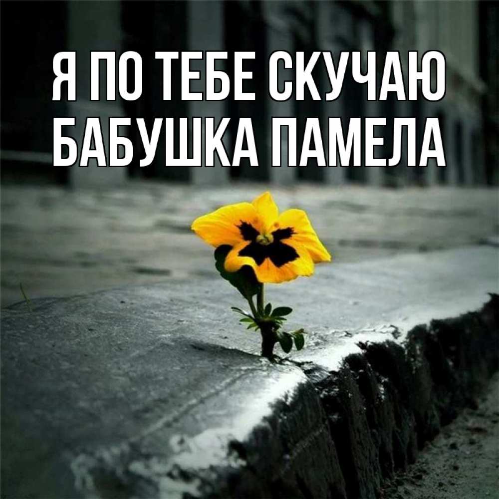 Открытка на каждый день с именем, Бабушка-Памела Я по тебе скучаю надеюсь будет лучше Прикольная открытка с пожеланием онлайн скачать бесплатно 