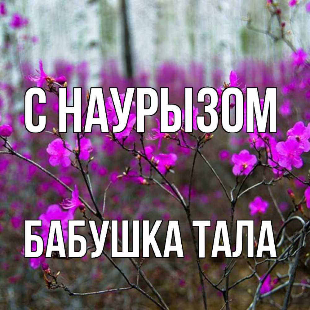 Открытка на каждый день с именем, Бабушка-Тала С наурызом дикие цветы Прикольная открытка с пожеланием онлайн скачать бесплатно 