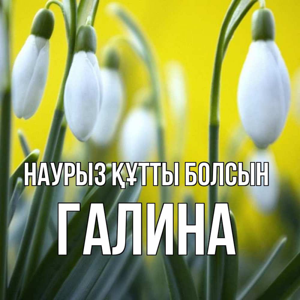 Открытка на каждый день с именем, Галина Наурыз құтты болсын весенние цветы Прикольная открытка с пожеланием онлайн скачать бесплатно 
