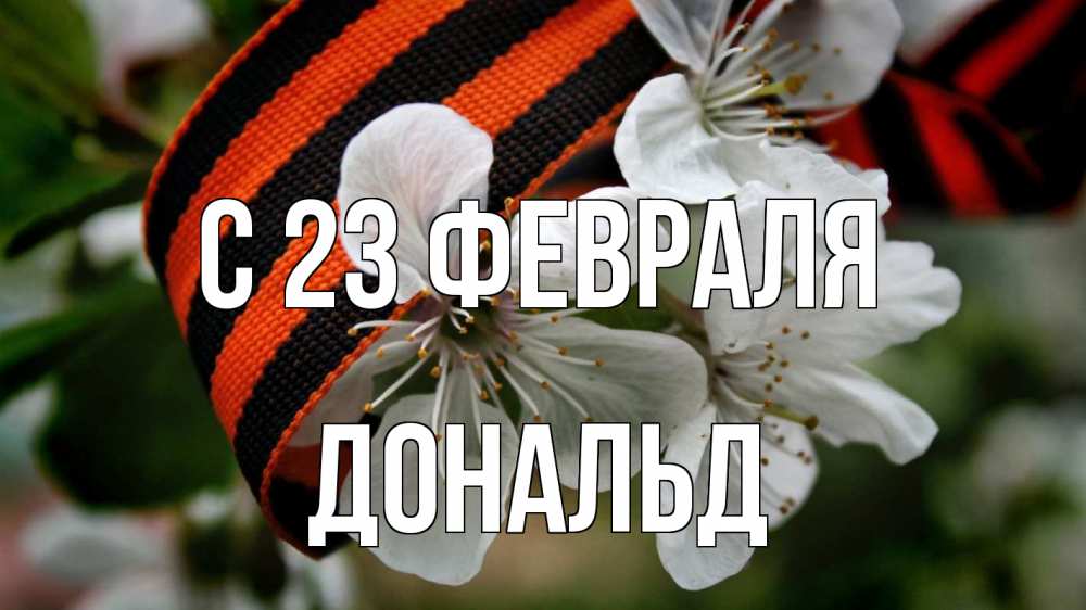 Открытка на каждый день с именем, Дональд С 23 февраля 23 февраля Прикольная открытка с пожеланием онлайн скачать бесплатно 