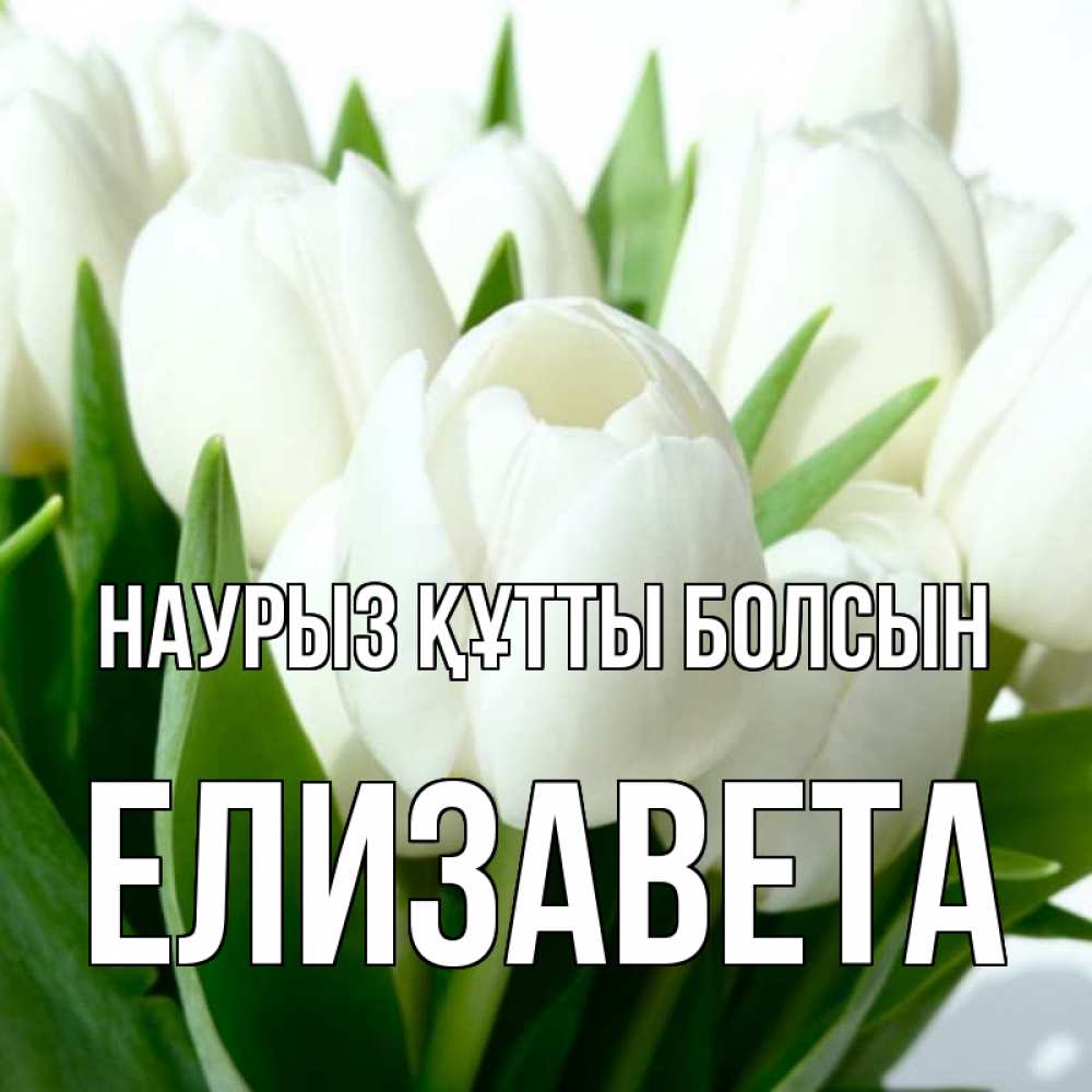 Открытка на каждый день с именем, Елизавета Наурыз құтты болсын цветы Прикольная открытка с пожеланием онлайн скачать бесплатно 