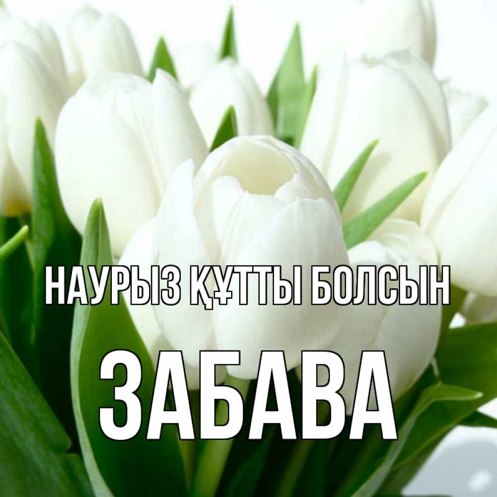 Открытка на каждый день с именем, Забава Наурыз құтты болсын цветы Прикольная открытка с пожеланием онлайн скачать бесплатно 