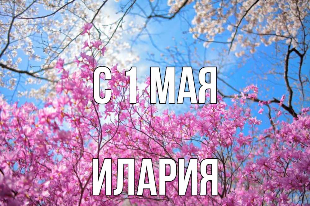 Открытка на каждый день с именем, Илария С 1 мая С 1 мая Прикольная открытка с пожеланием онлайн скачать бесплатно 
