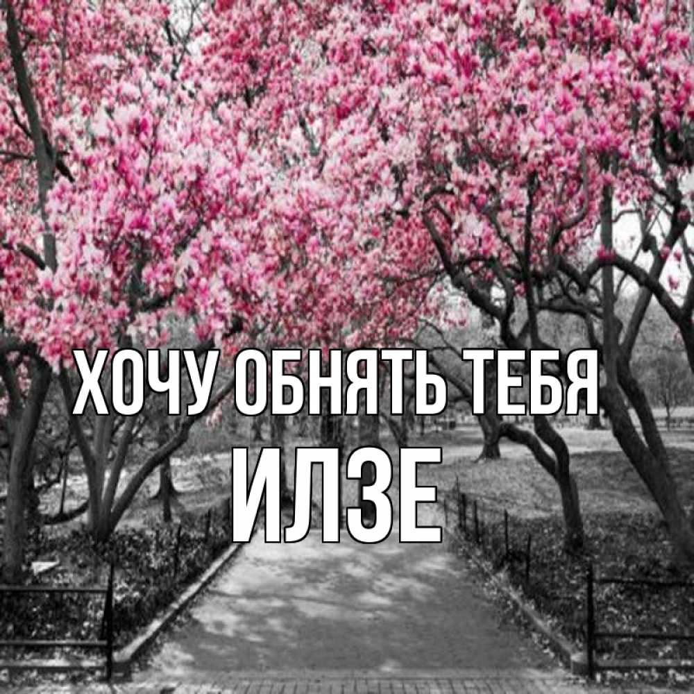Открытка на каждый день с именем, Илзе Хочу обнять тебя обработанное фото Прикольная открытка с пожеланием онлайн скачать бесплатно 