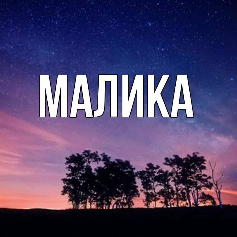 Открытка на каждый день с именем, Малика Главная силуэты деревьев Прикольная открытка с пожеланием онлайн скачать бесплатно 