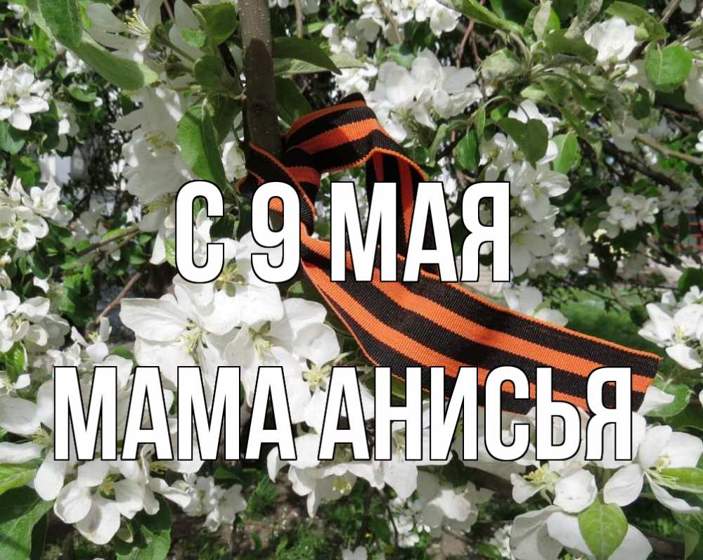 Открытка на каждый день с именем, Мама-Анисья С 9 мая 9 мая Прикольная открытка с пожеланием онлайн скачать бесплатно 