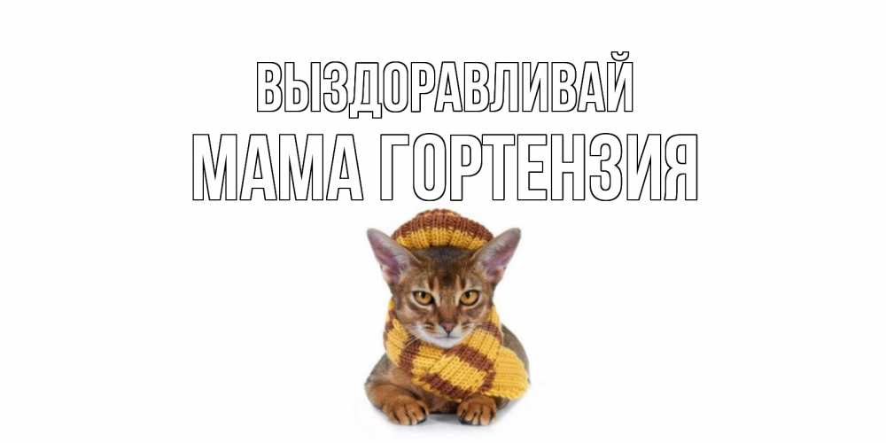 Открытка на каждый день с именем, Мама-Гортензия Выздоравливай родные не болейте Прикольная открытка с пожеланием онлайн скачать бесплатно 