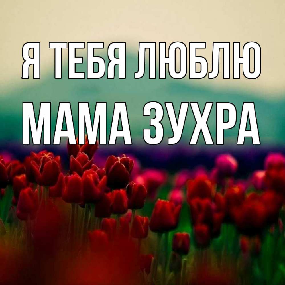 Открытка на каждый день с именем, Мама-Зухра Я тебя люблю тюльпаны 4 Прикольная открытка с пожеланием онлайн скачать бесплатно 