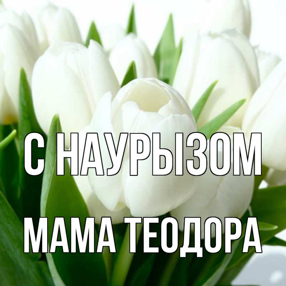 Открытка на каждый день с именем, Мама-Теодора С наурызом цветы Прикольная открытка с пожеланием онлайн скачать бесплатно 