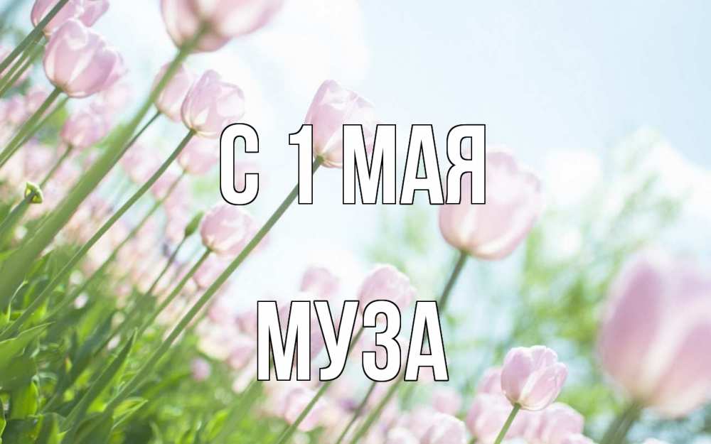 Открытка на каждый день с именем, Муза С 1 мая С 1 мая Прикольная открытка с пожеланием онлайн скачать бесплатно 