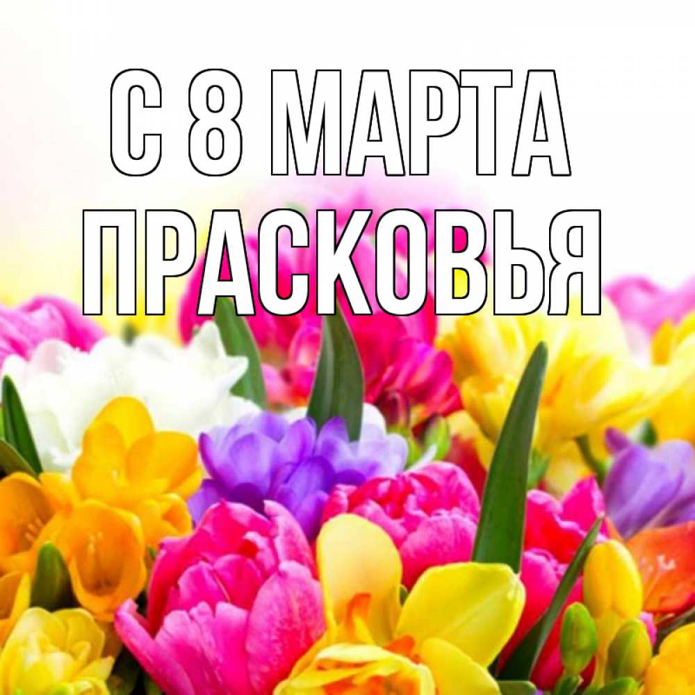 Открытка на каждый день с именем, Прасковья С 8 МАРТА тюльпаны Прикольная открытка с пожеланием онлайн скачать бесплатно 