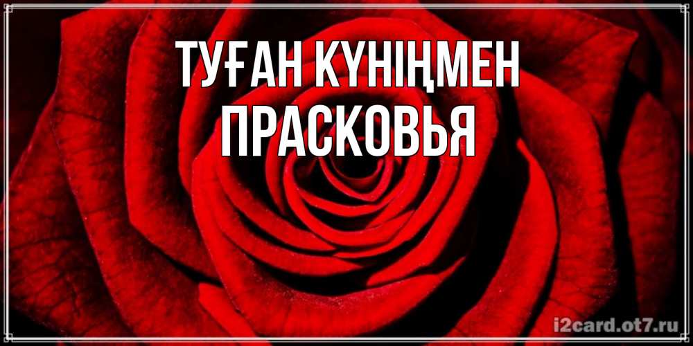Открытка на каждый день с именем, Прасковья Туған күніңмен алая роза Прикольная открытка с пожеланием онлайн скачать бесплатно 